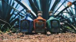 How Is Tequila Made by TAU
