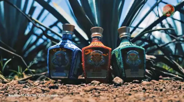 How Is Tequila Made by TAU