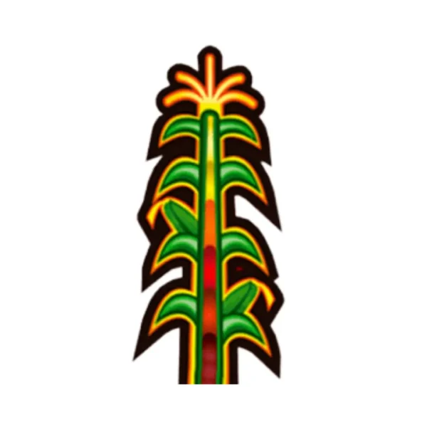 maiz wixarika tau